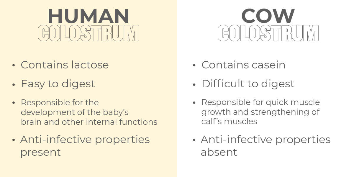 Difference between Human and Cow Colostrum