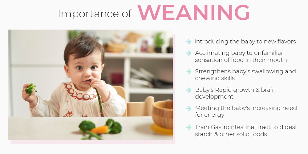 baby weaning recipes