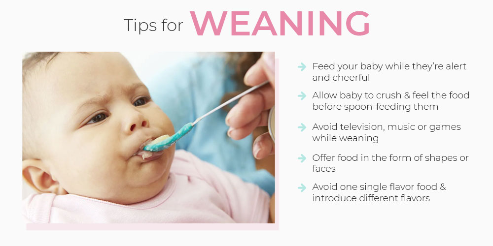 baby weaning recipes